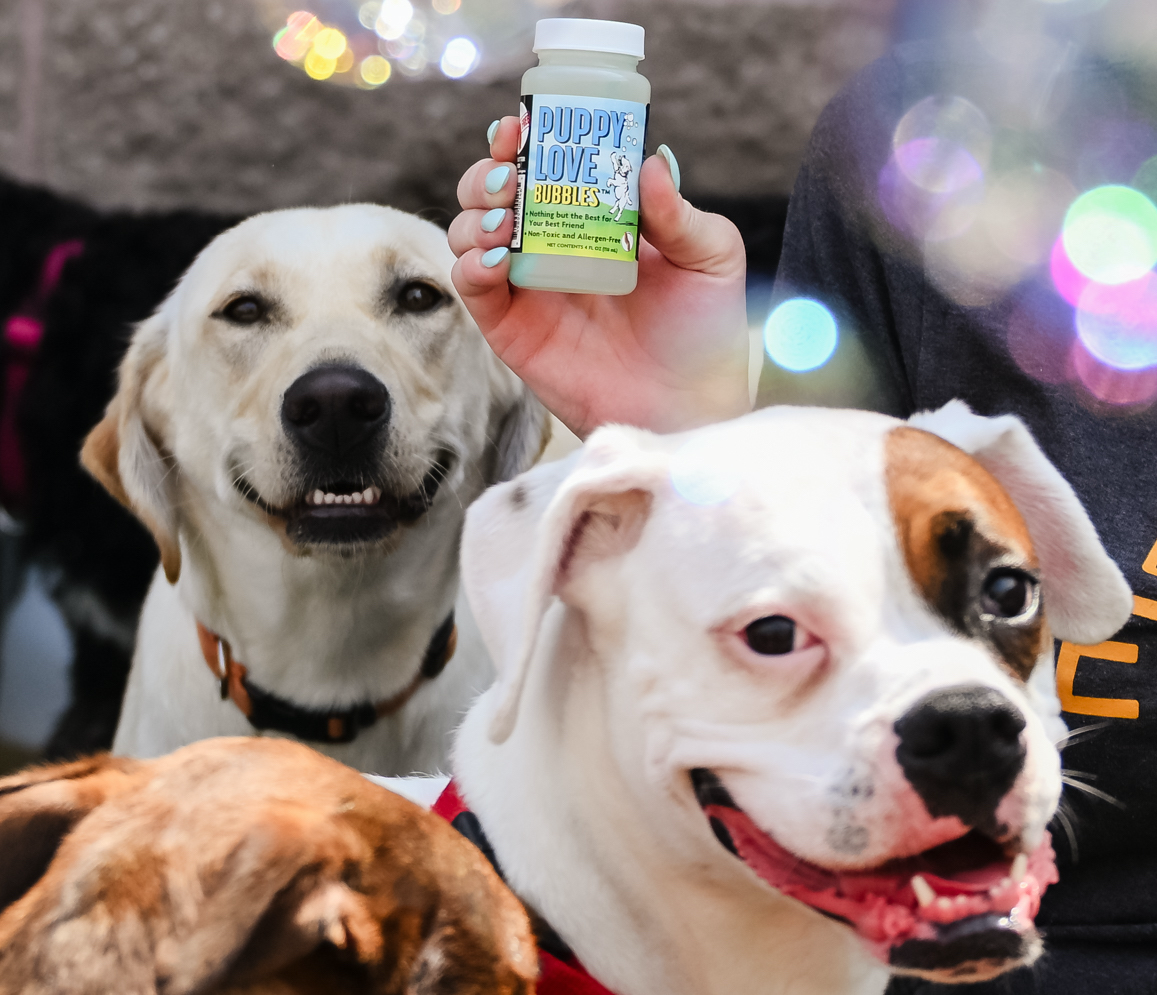 Pet Bubbles - All