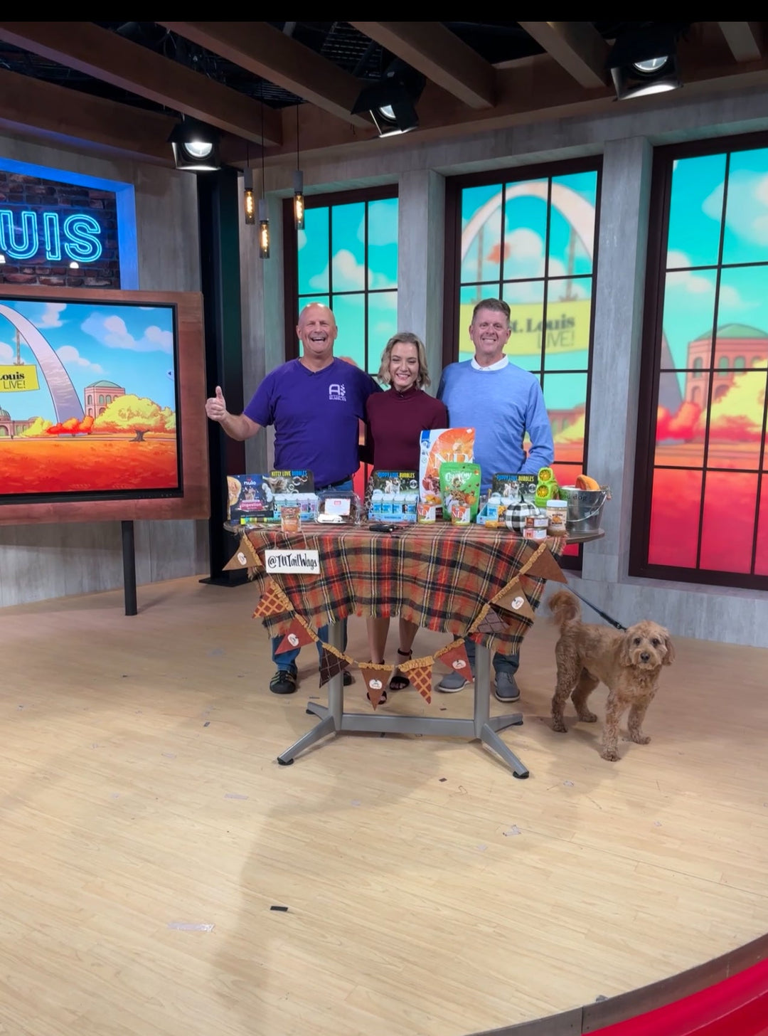 As seen on KMOV-TV: Atomic Bubbles teams up with Treats Unleashed for a Unique Event: Pumpkin Pie Eating Contest for Pets