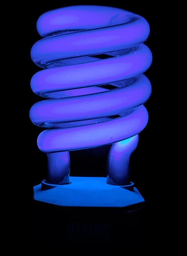 Black Light Bulb